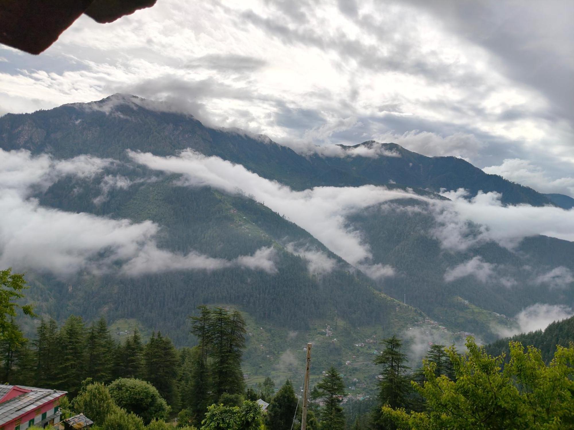 Forest View Cottage Jibhi Bagian luar foto