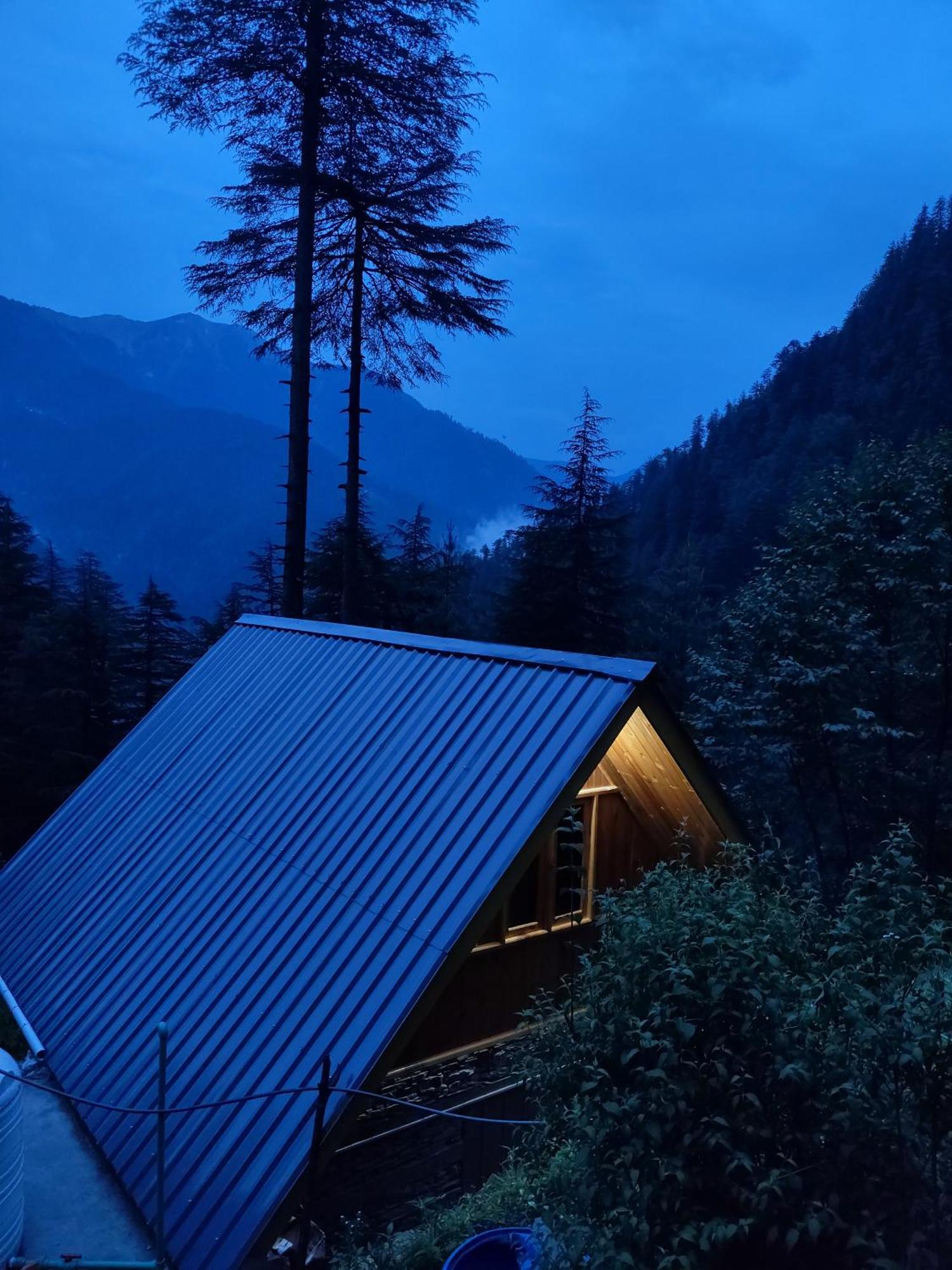 Forest View Cottage Jibhi Bagian luar foto