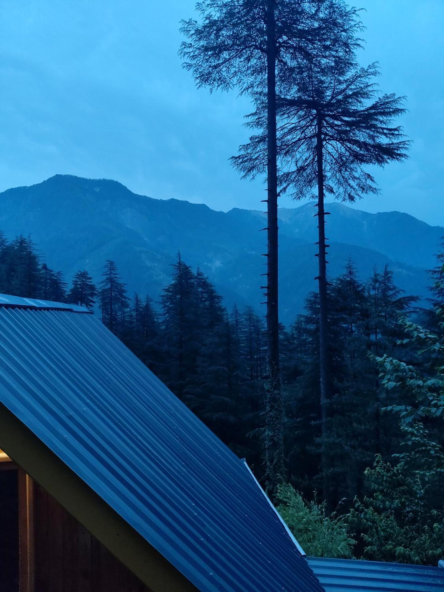 Forest View Cottage Jibhi Bagian luar foto