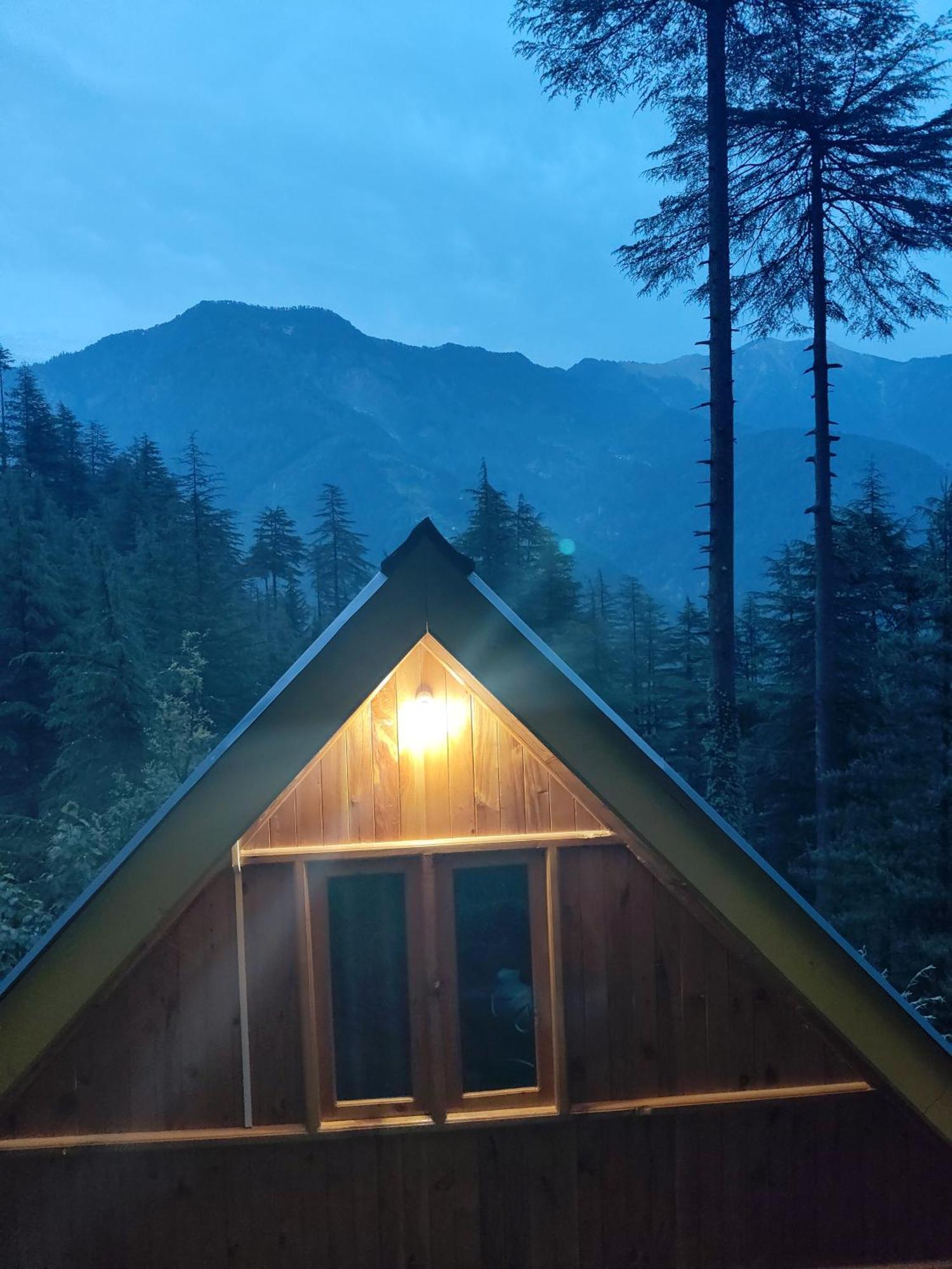 Forest View Cottage Jibhi Bagian luar foto