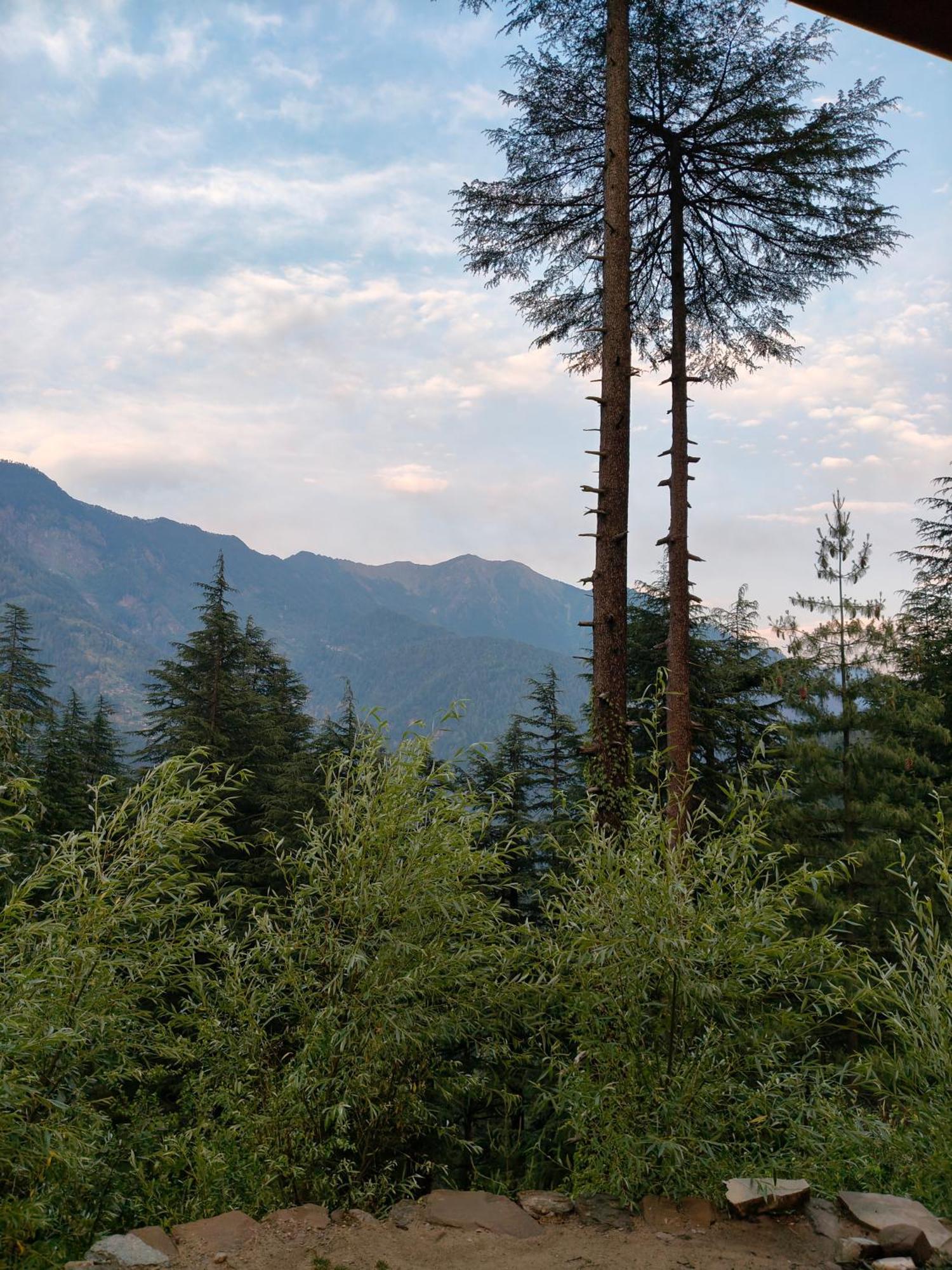 Forest View Cottage Jibhi Bagian luar foto
