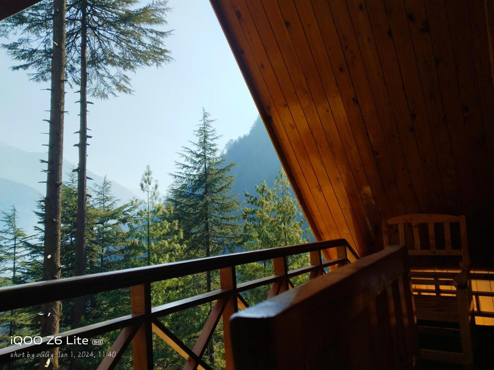 Forest View Cottage Jibhi Bagian luar foto