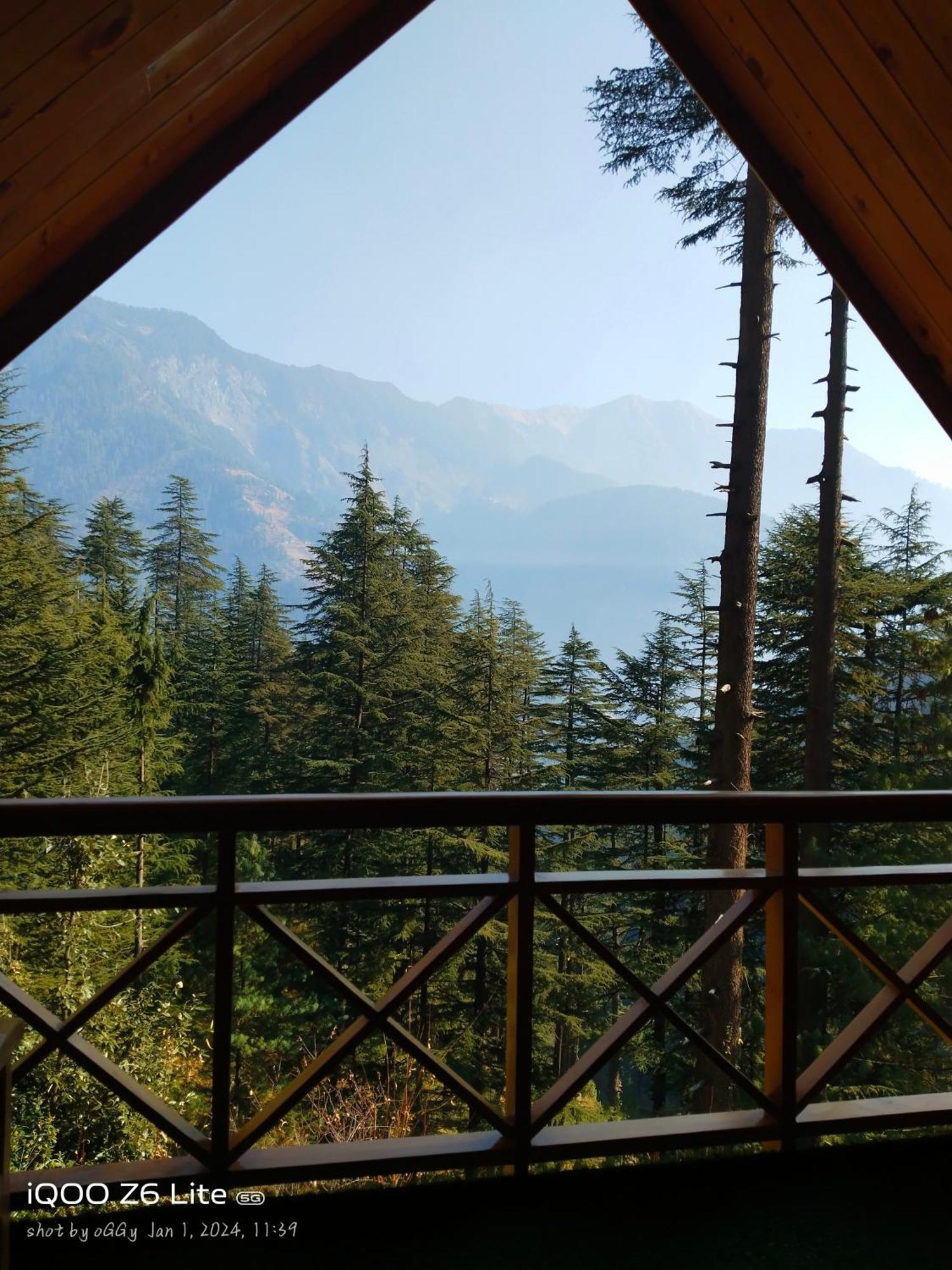 Forest View Cottage Jibhi Bagian luar foto